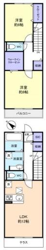 ウィーブ琴 105の写真