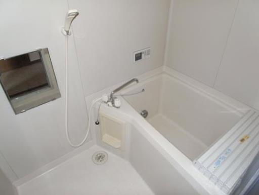 リバーサイド五番館 101の写真