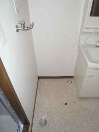 リバーサイド五番館 101の写真