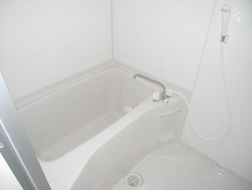 ミリアビタＮＯ．１０ 212の写真
