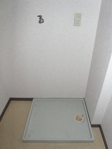 フロラシオン 305の写真