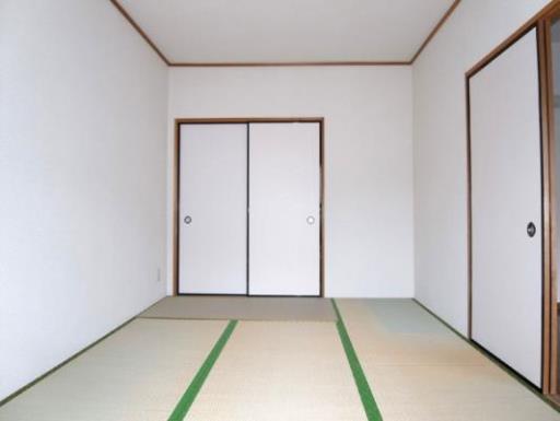 パオ・ヤマニシ 308の写真