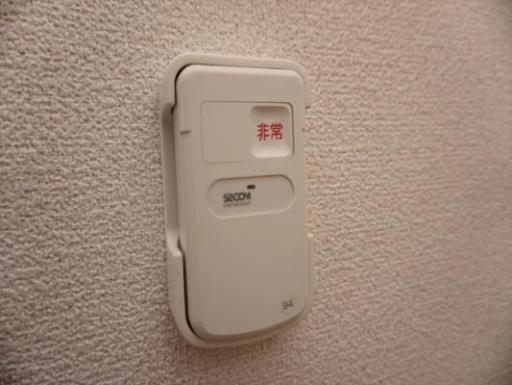 リブリ・Ｚａａｎｅ－ｔｏｓｓｉ（ザーネトッシ） 102の写真