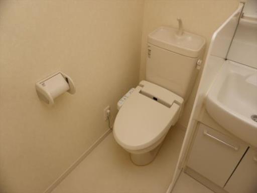 ダイワティアラ津田沼Ⅴ 308の写真