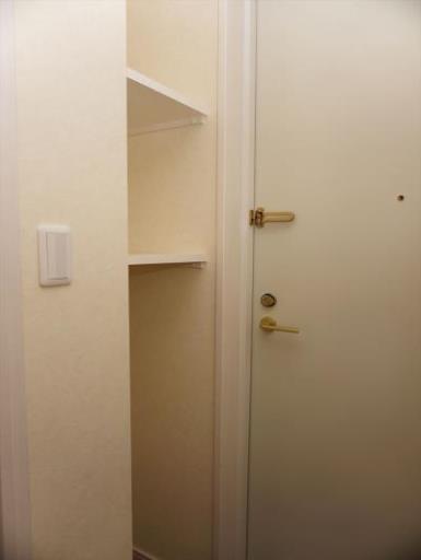 ダイワティアラ津田沼Ⅴ 308の写真