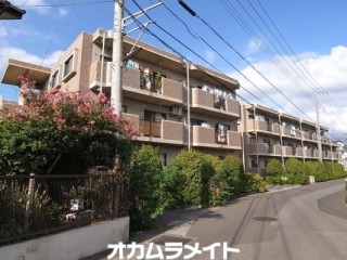 エレガント・セレーノ 207