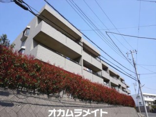 コルディアーレ西志津 310