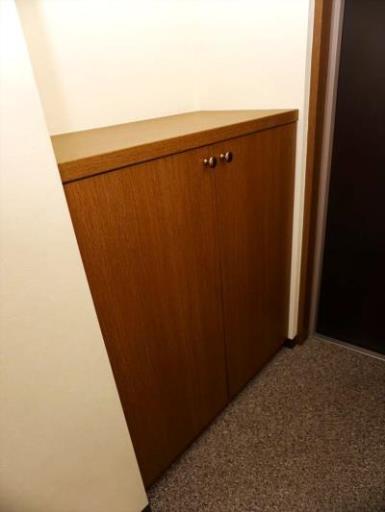 グランシャリオ 310の写真