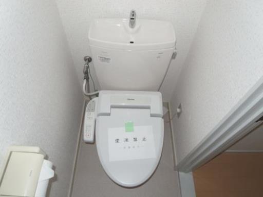 ラフィーヌ・ヤマト 105の写真