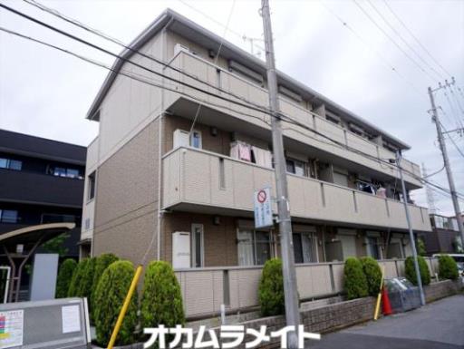 カメリア 101の写真