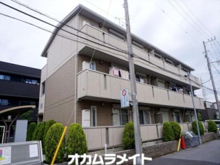 カメリア 101