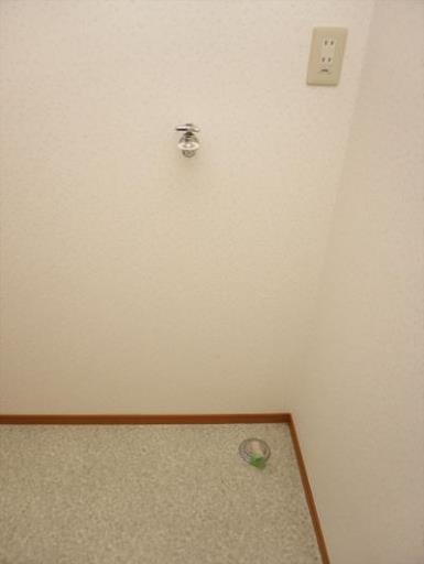 トップ福島 202の写真