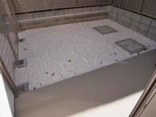 ＡｓｃｅｎｔＹ津田沼（アセントワイツダヌマ） 102の写真