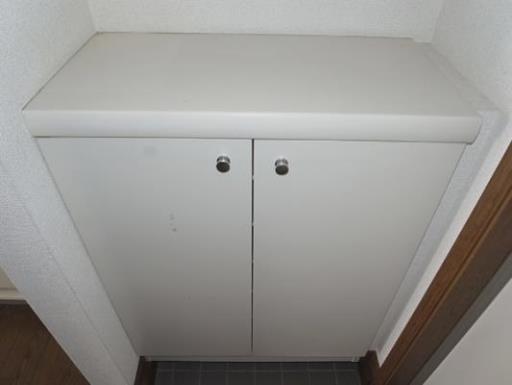 フロンティアⅠ Ａ棟 210の写真