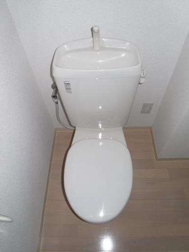 ミリアビタＮＯ．１１ 107の写真