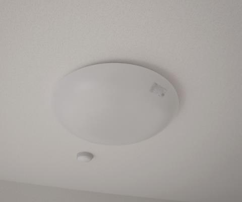 ミリアビタＮＯ．１１ 107の写真