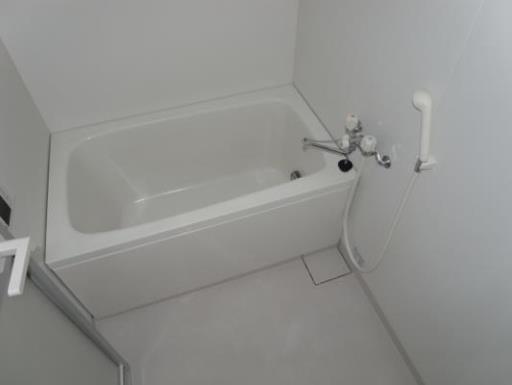 フロリッシュ中央 501の写真