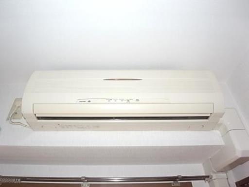 グリュック 207の写真
