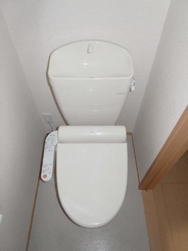 カナデ 102の写真
