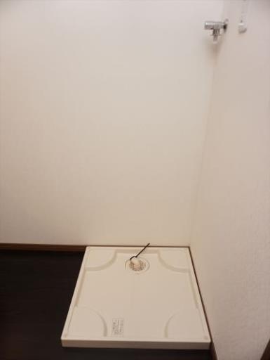 Ｂｒｉｌｌｉａｎｔ ＦＭ１ 301の写真