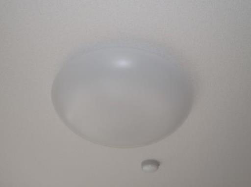 ミリアビタＮＯ．１１ 308の写真
